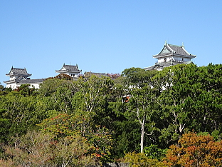 $B!!2q>l$+$i$NOB2N;3>k!!(B