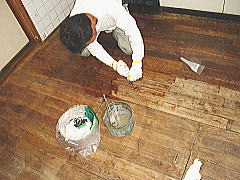 $B!!EIAu20$5$s$,4hD%$C$FGm$,$7$F$^$9!!(B